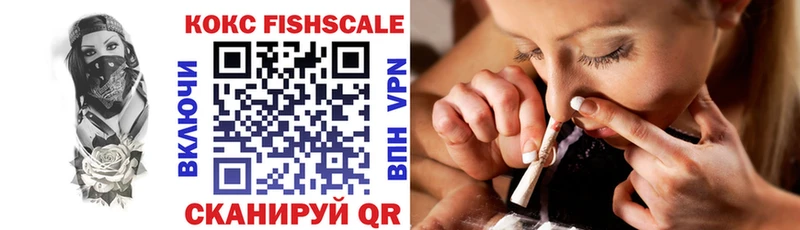 COCAIN FishScale  цены наркотик  Шилка 