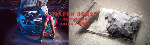 spice Гусиноозёрск