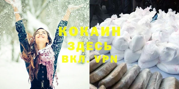 spice Гусиноозёрск