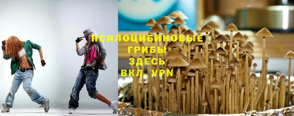 мет Дмитриев