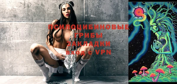 мет Дмитриев