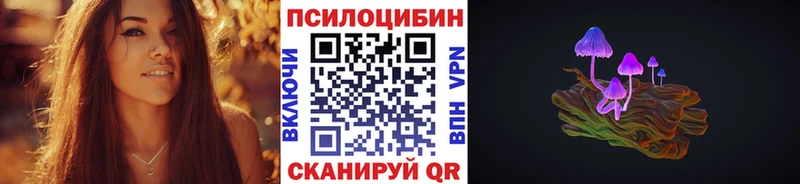 Псилоцибиновые грибы Psilocybine cubensis  Шилка 